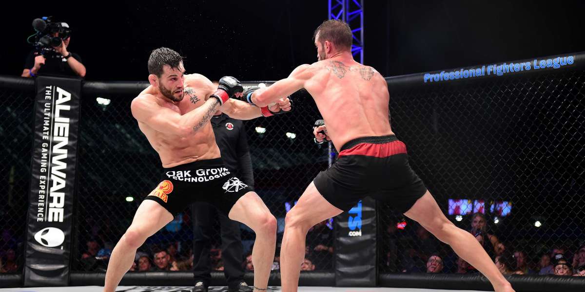 'Professional Fighters League' To Run Regular Season After Extending ESPN Deal