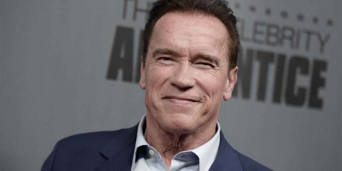 Arnold Schwarzenegger Gets Involved in Car Accident